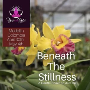 Beneath The Stillness April  30TH - May 4TH 2026